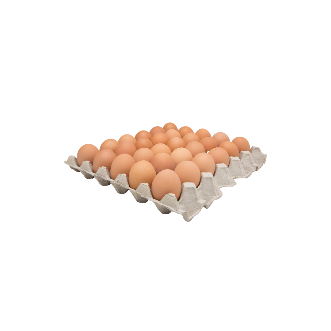 Organic Brown Eggs