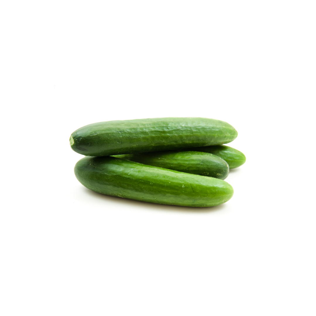 Cucumber