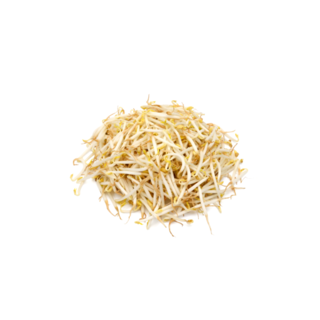 Beansprout