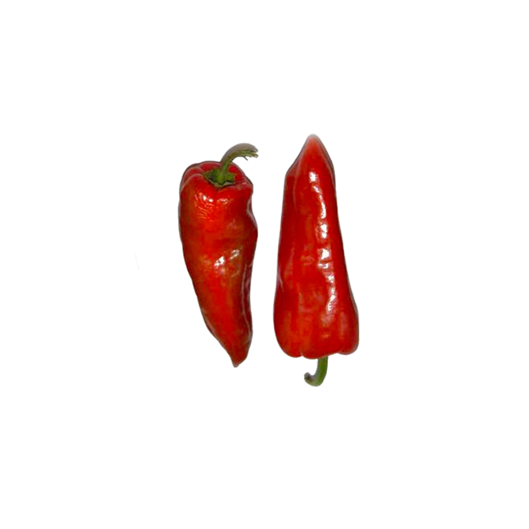 Bell Pepper Red