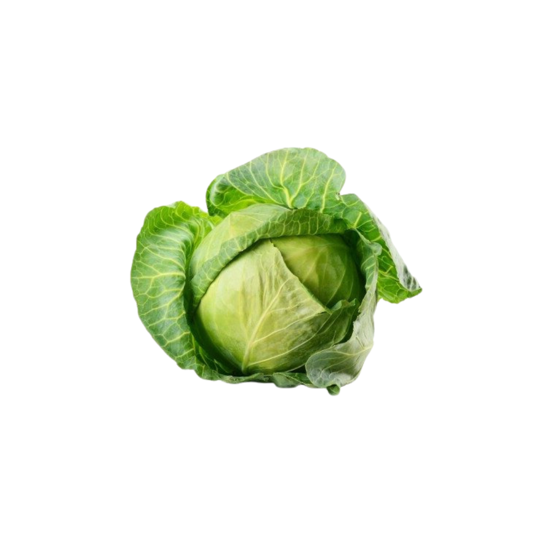 Cabbage available online in Davao City — Free Delivery. – Safe Basket Davao