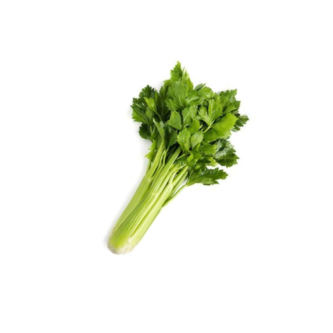 Celery