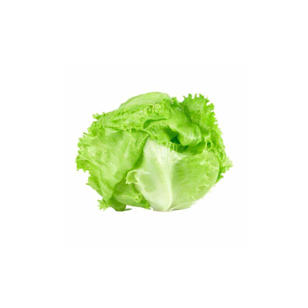 Lettuce – Iceberg