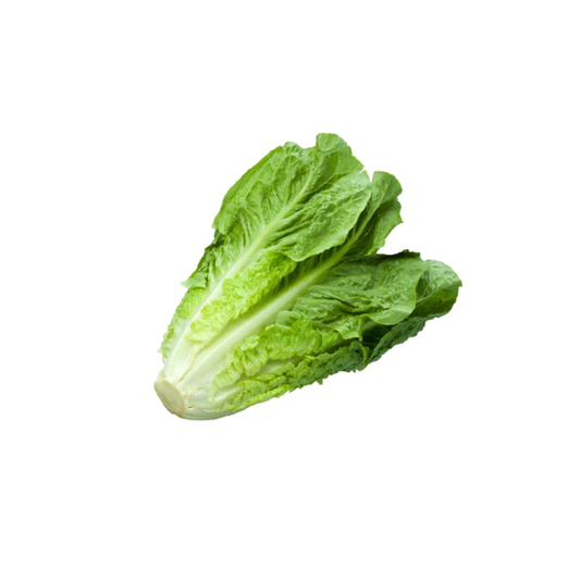 Lettuce – Romaine