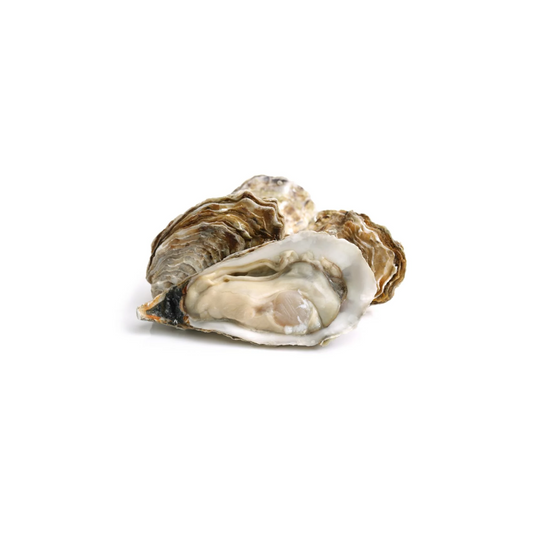 Oysters, Closed Full Shell (Kg)