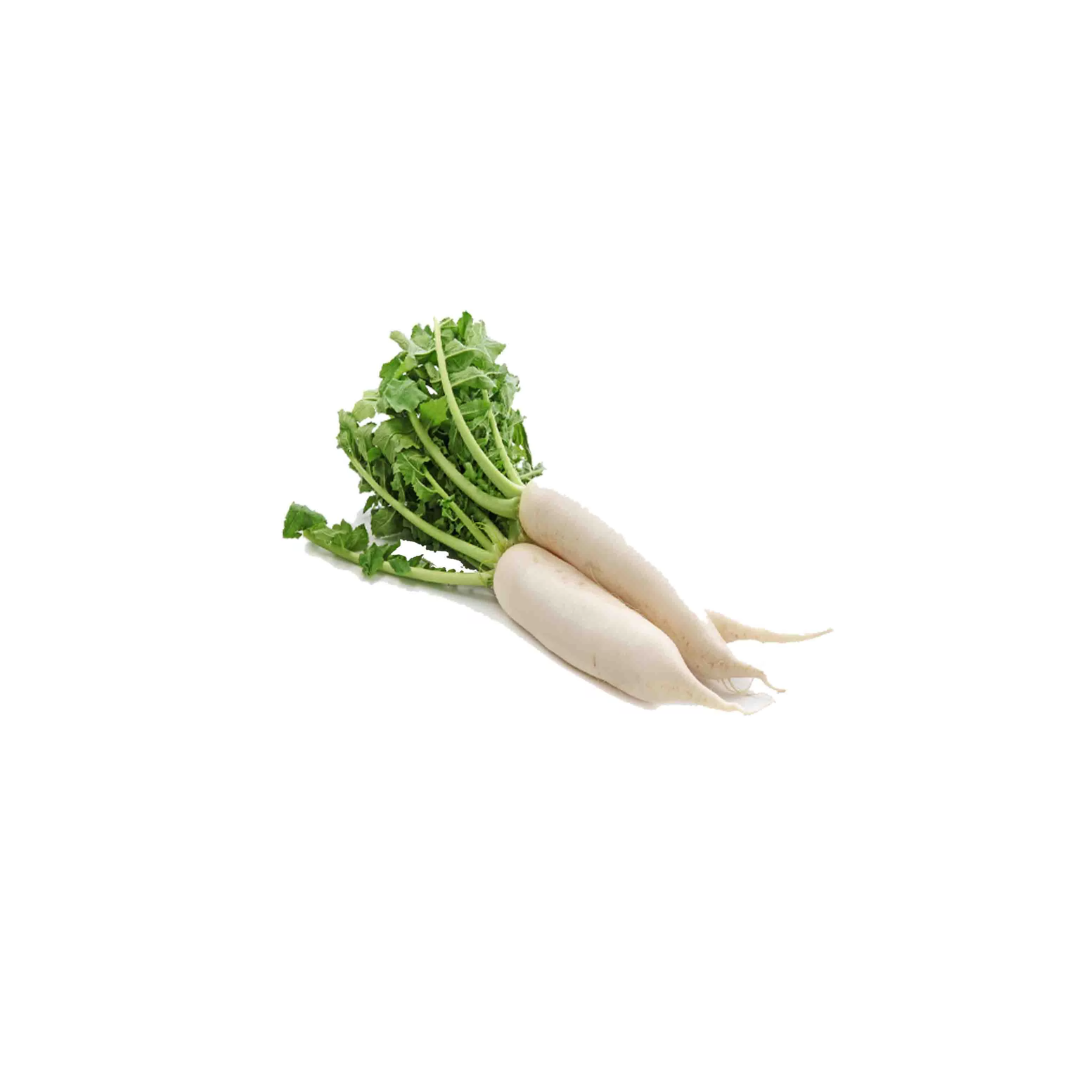 Radish