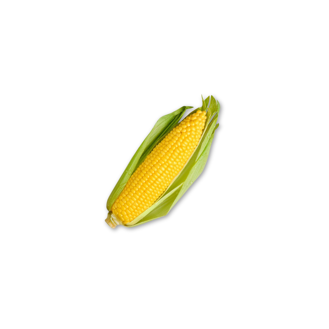 Sweet Corn